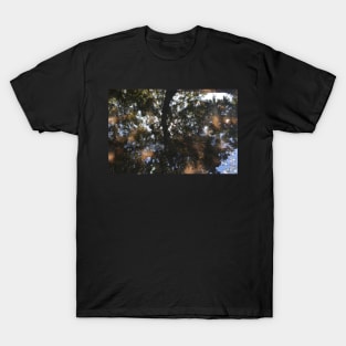 Reflections T-Shirt